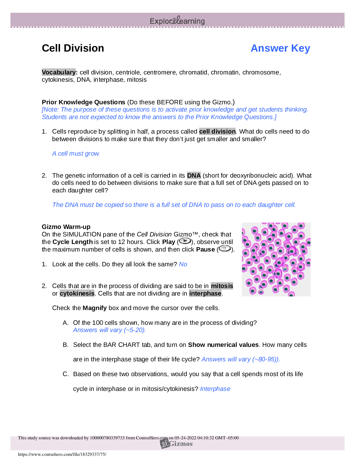 Cell Division GIZMOS