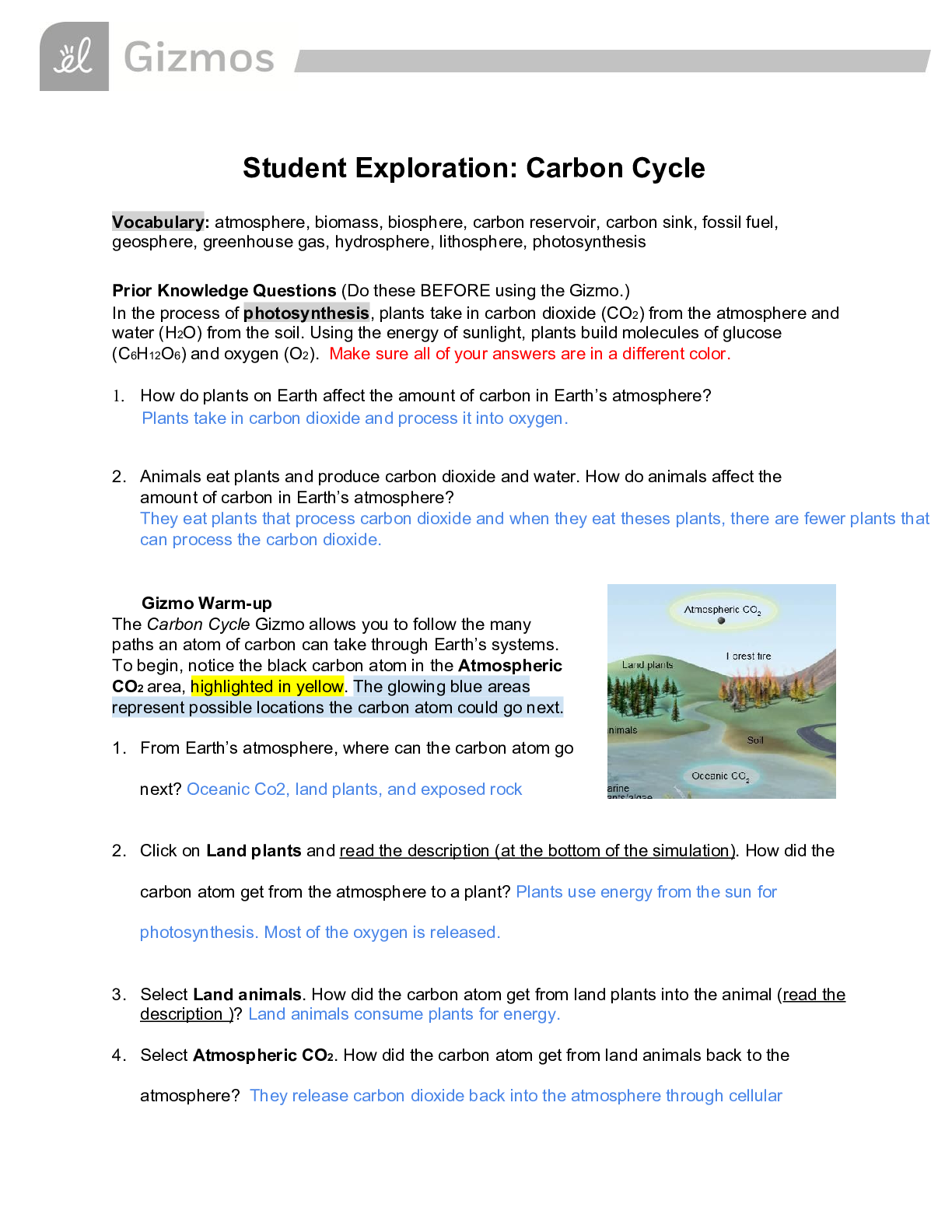 Carbon Cycling Gizmo