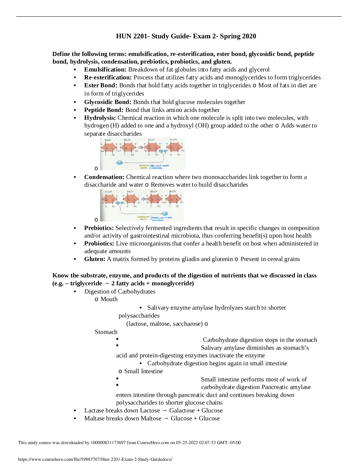 HUN 2201- Study Guide- Exam 2