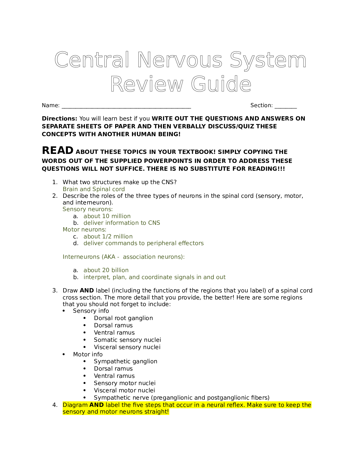 Central Nervous System Review Guide (1)