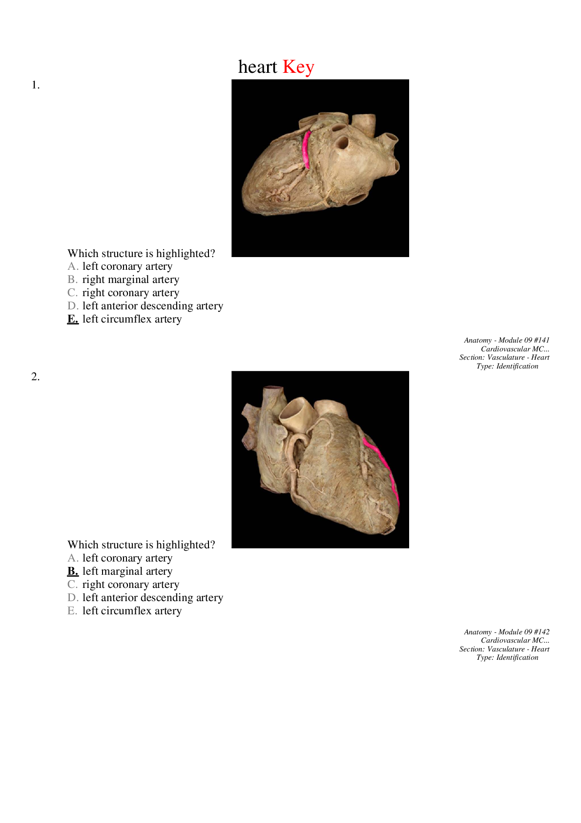 Key heart review