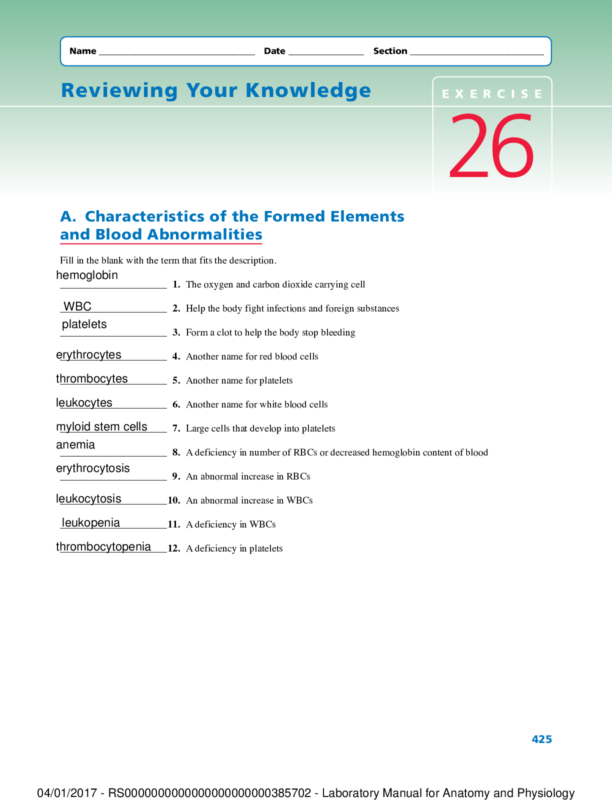 Lab Exercise (Reviewing your knowledge)