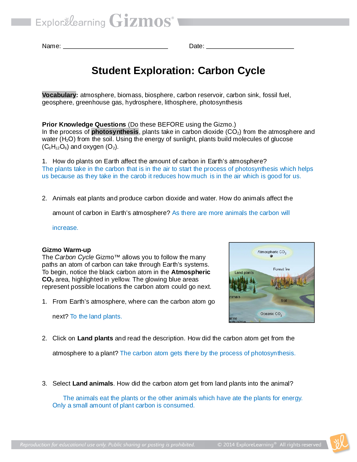 Exploration- Carbon Cycle