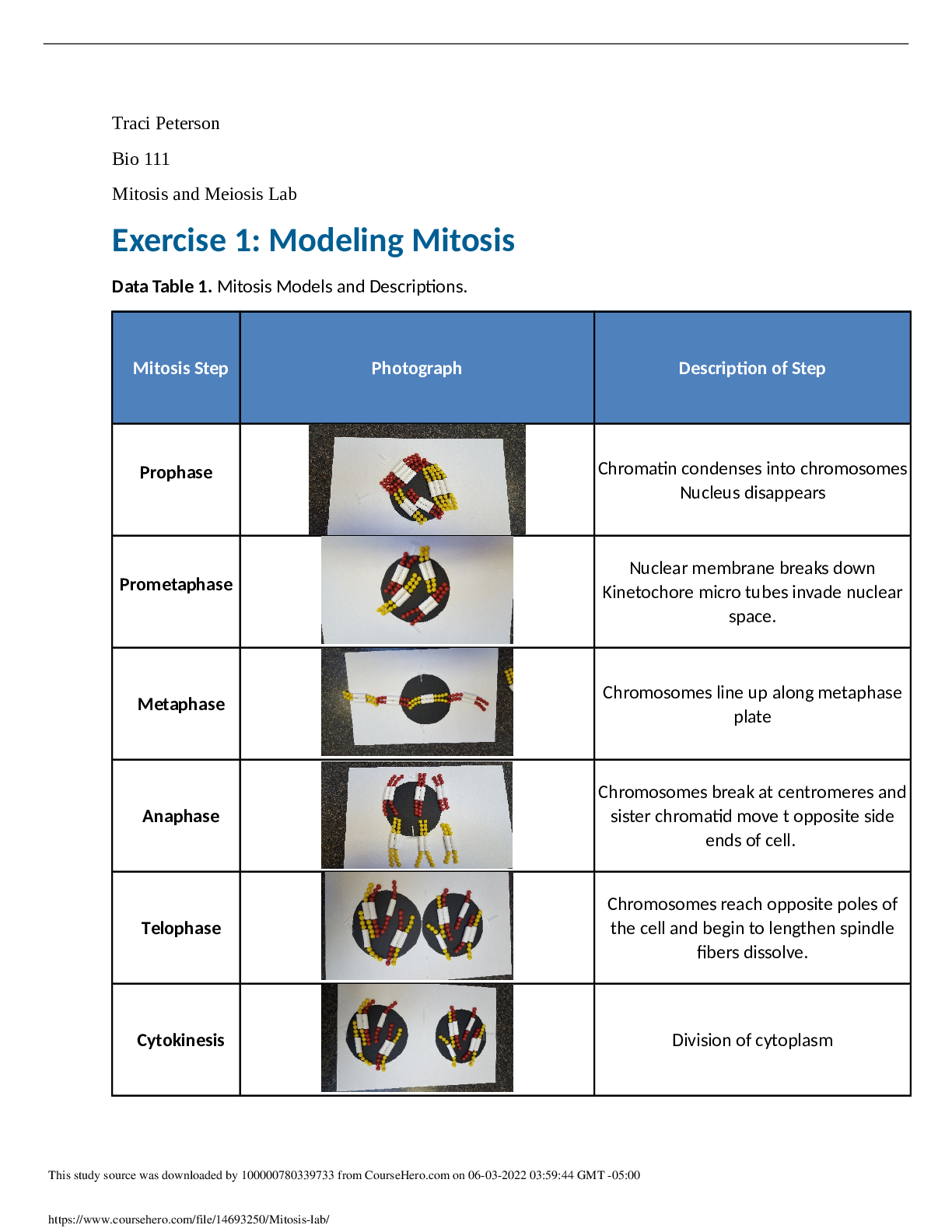 Bio 111 Mitosis and Meiosis Lab