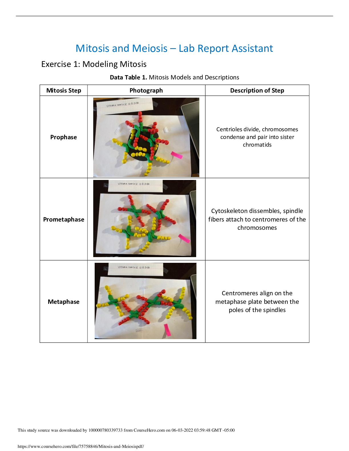 Mitosis and Meiosis – Lab Report Assistant