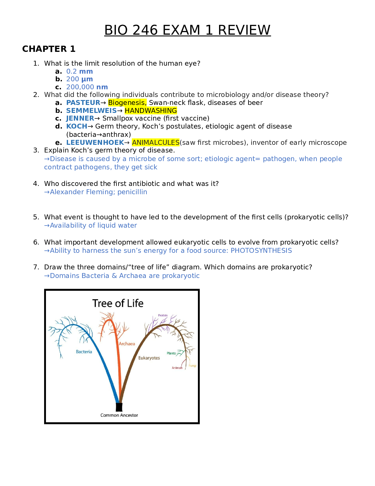 BIO 246 EXAM 1 REVIEW