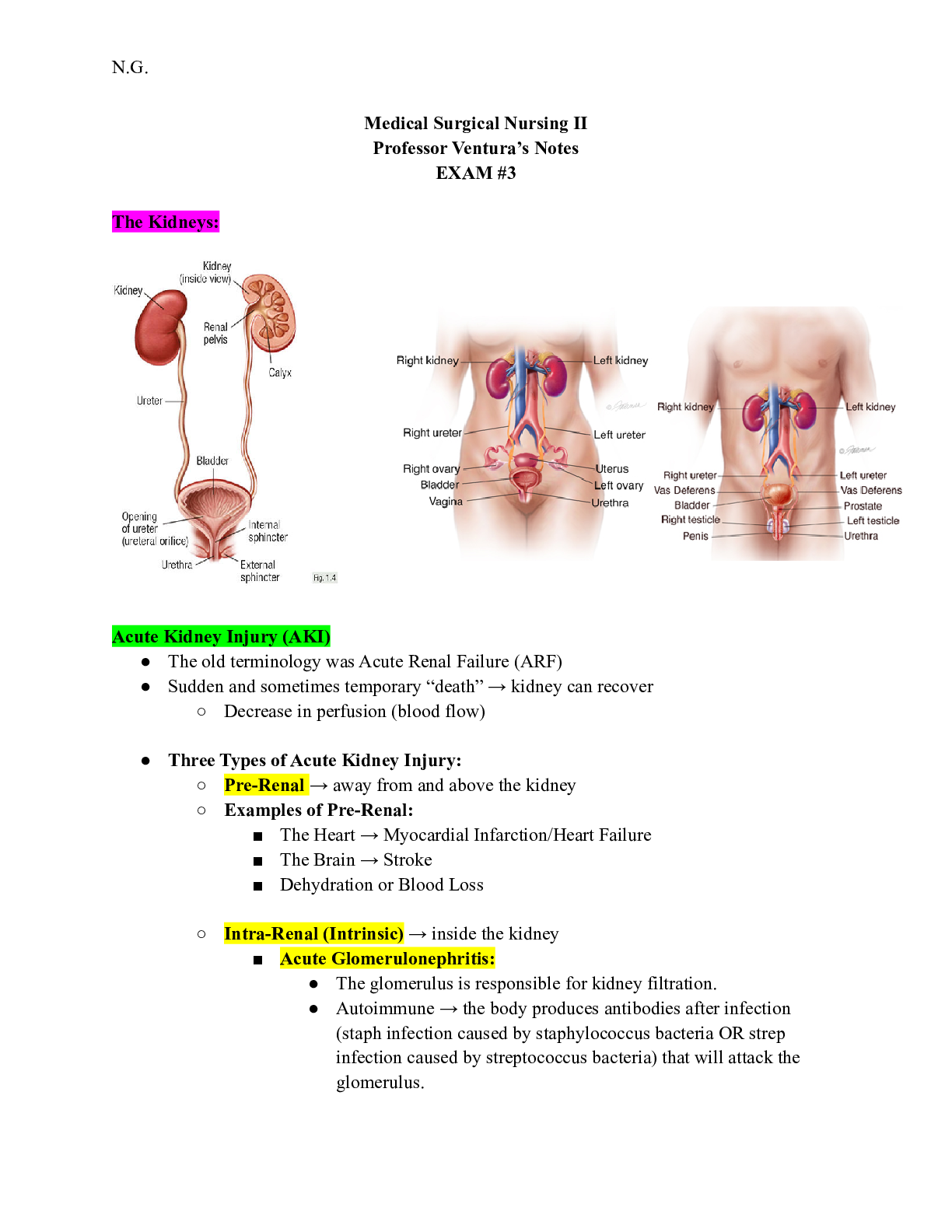 Medical Surgical Nursing II Professor Ventura’s Notes EXAM #3