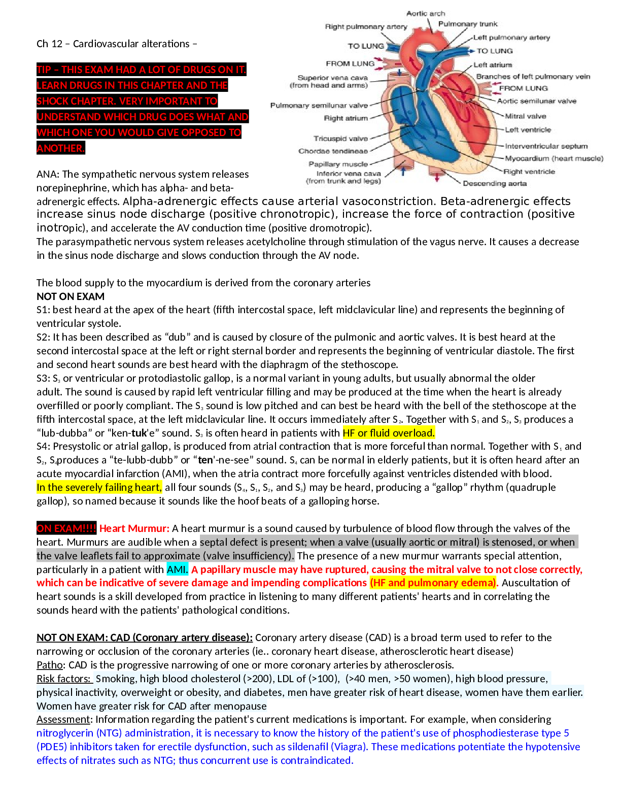 Cardiovascular alterations Ch 12
