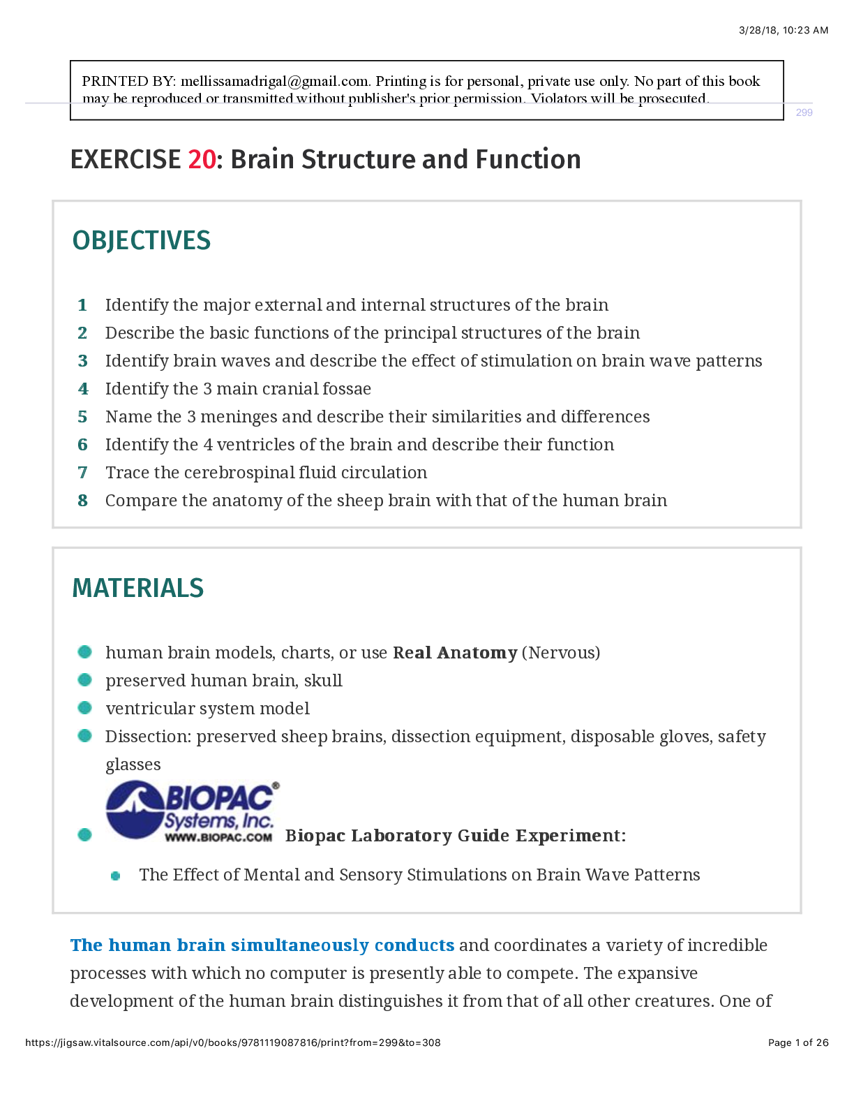 EXERCISE 20 Brain Structure and Function