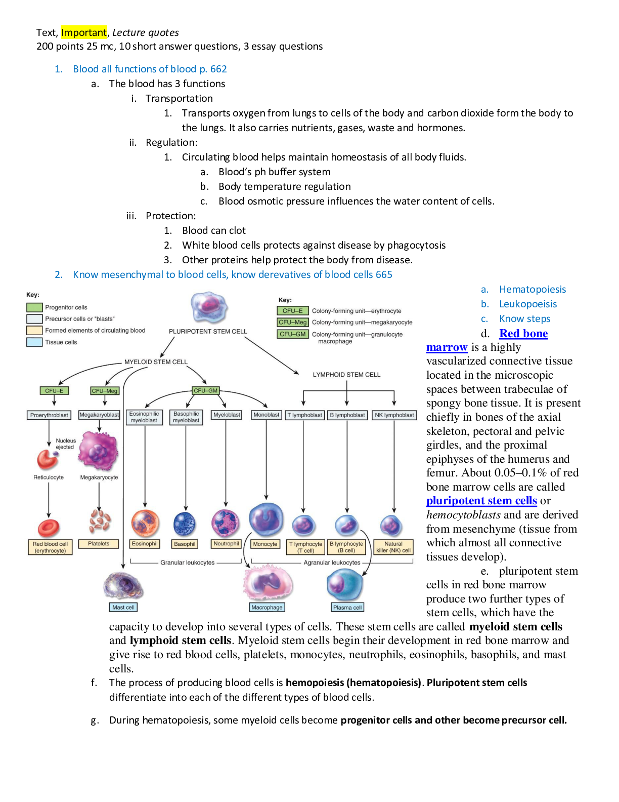 Composition of Blood and its Functions