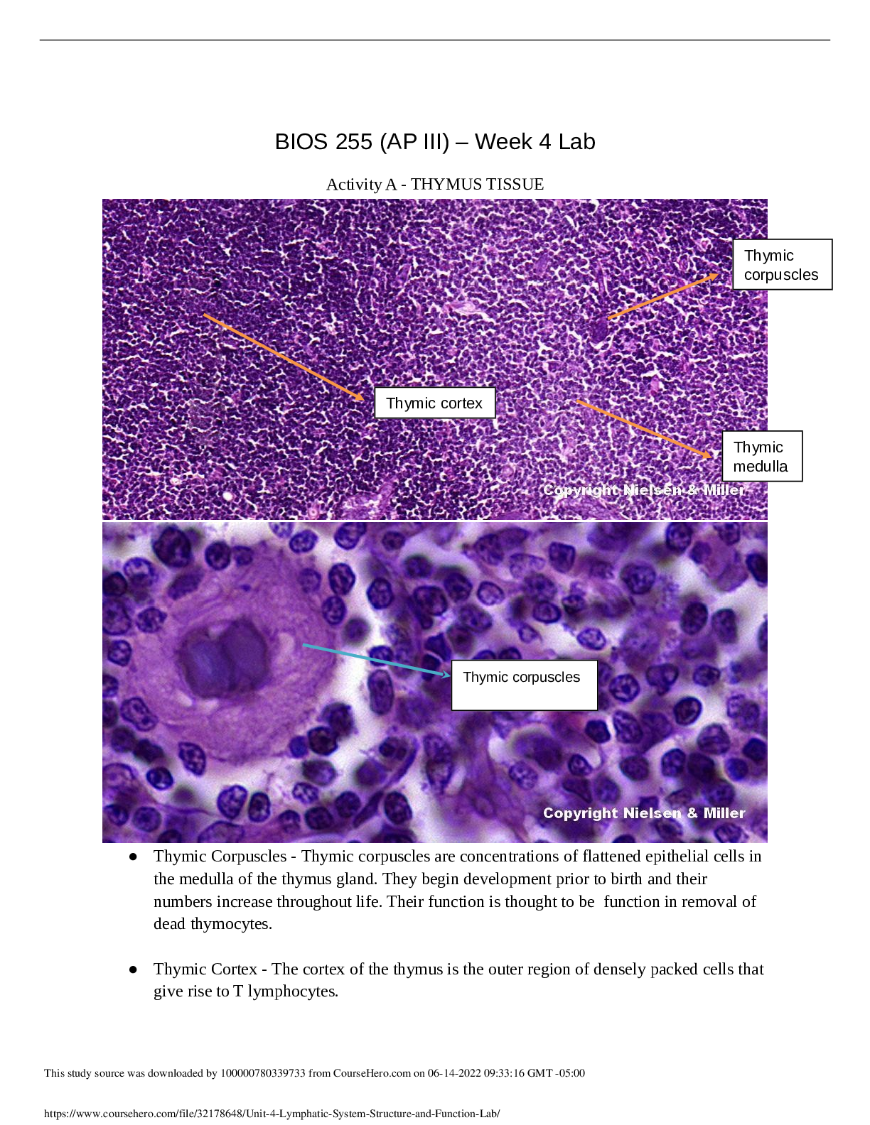 BIOS 255 (AP III) – Week 4 Lab