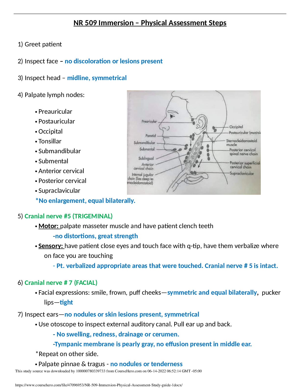 NR 509 Immersion – Physical Assessment Sudy guide
