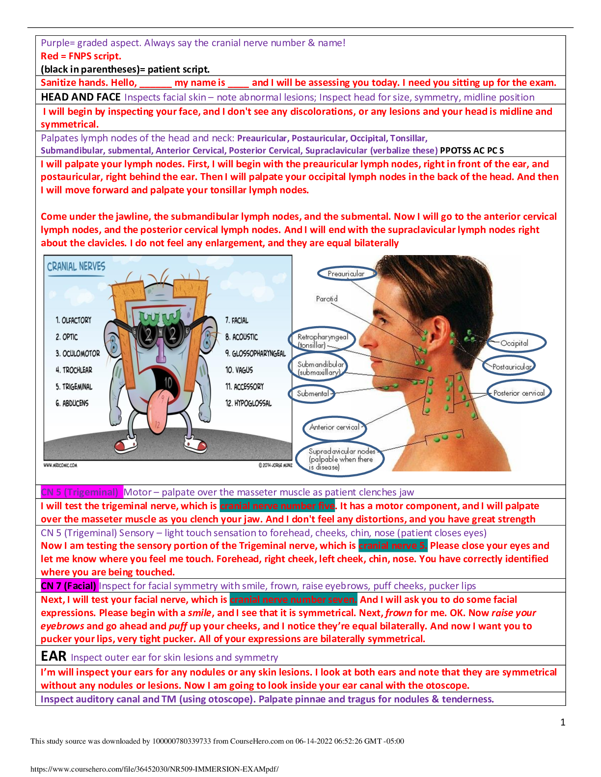 NR509 Immersion Exam