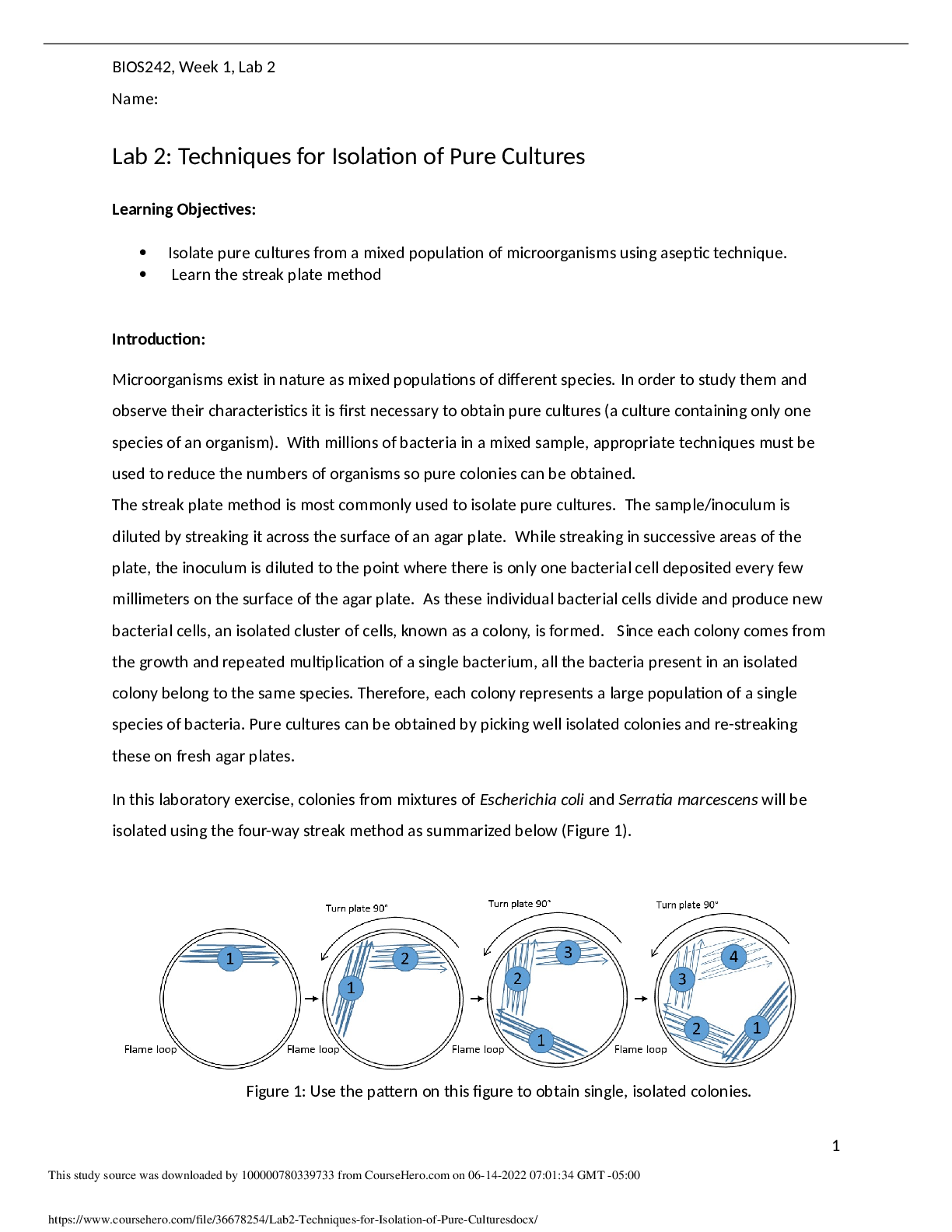 Lab 2 Techniques for Isolation of Pure Cultures BIOS242, Week 1
