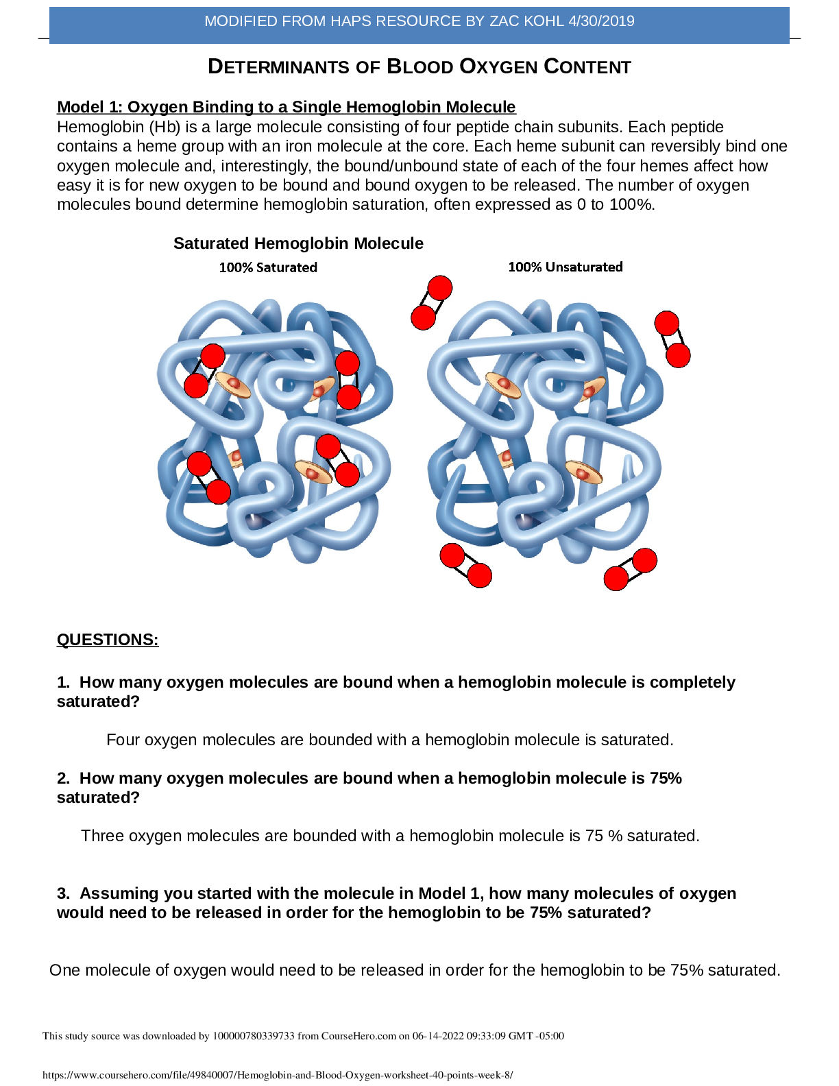 Hemoglobin and Blood Oxygen Transport Worksheet | Biology