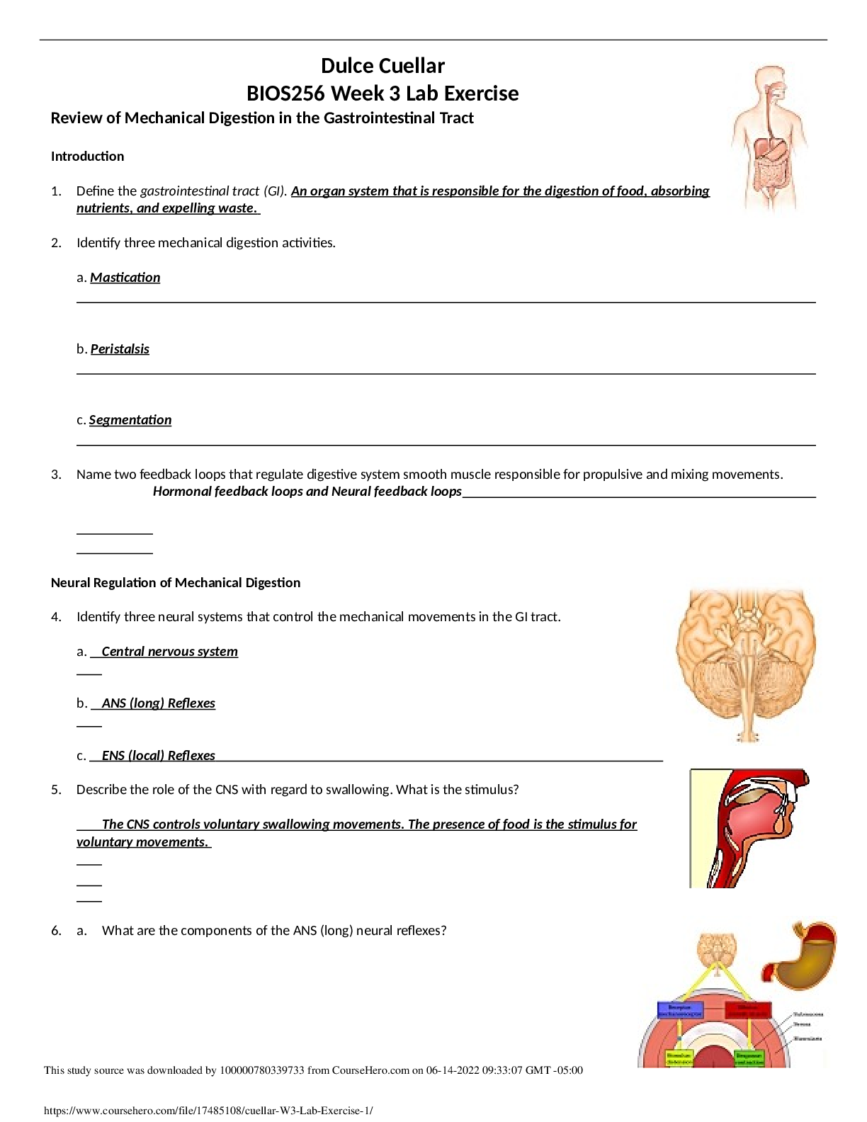 Dulce Cuellar BIOS256 Week 3 Lab Exercise Review of Mechanical Digestion in the Gastrointestinal Tract