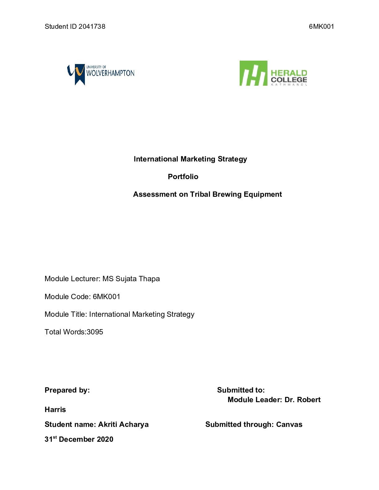 International Marketing Strategy Portfolio Assessment on Tribal Brewing Equipment