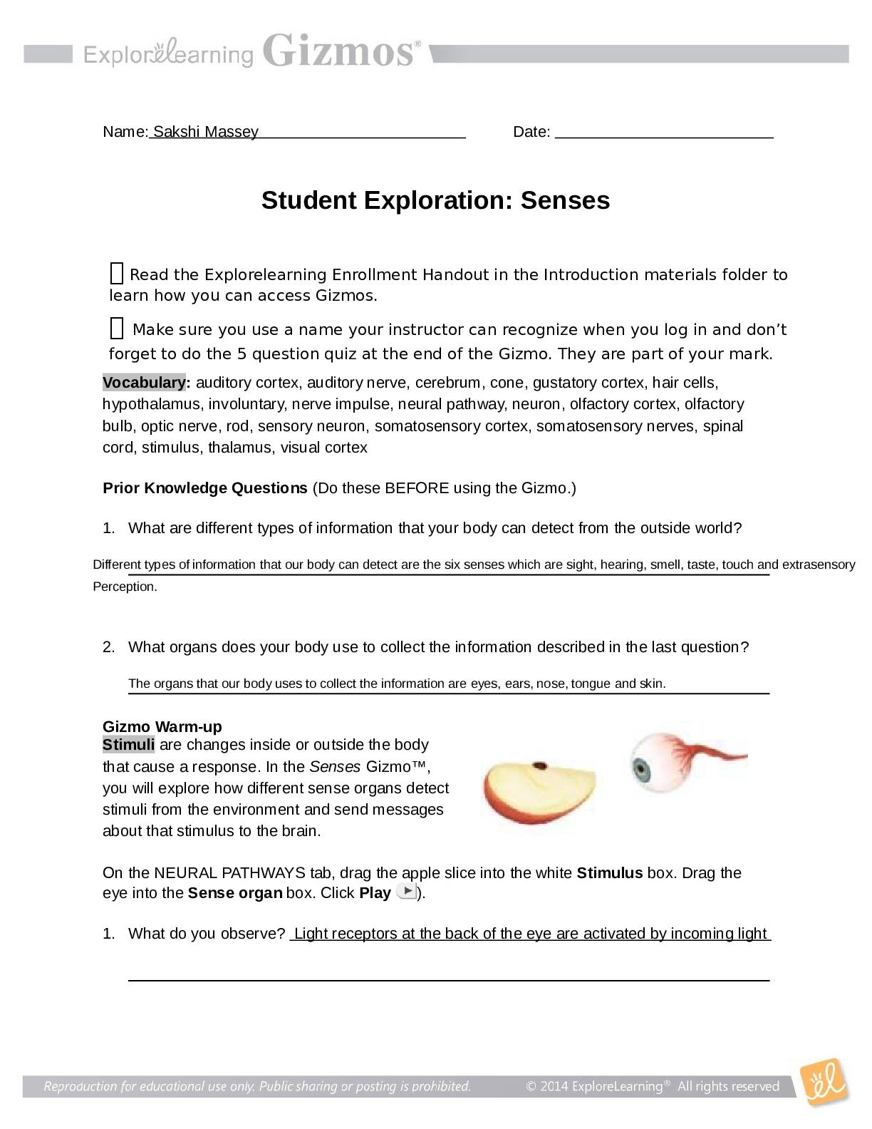 Senses Gizmo -Forest Lawn High School BIOLOGY BIO30A-6.2
