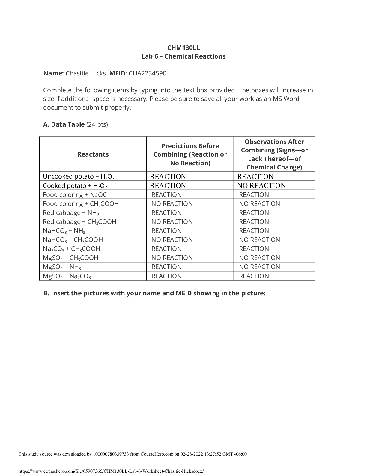Lab 6 – Chemical Reactions Report