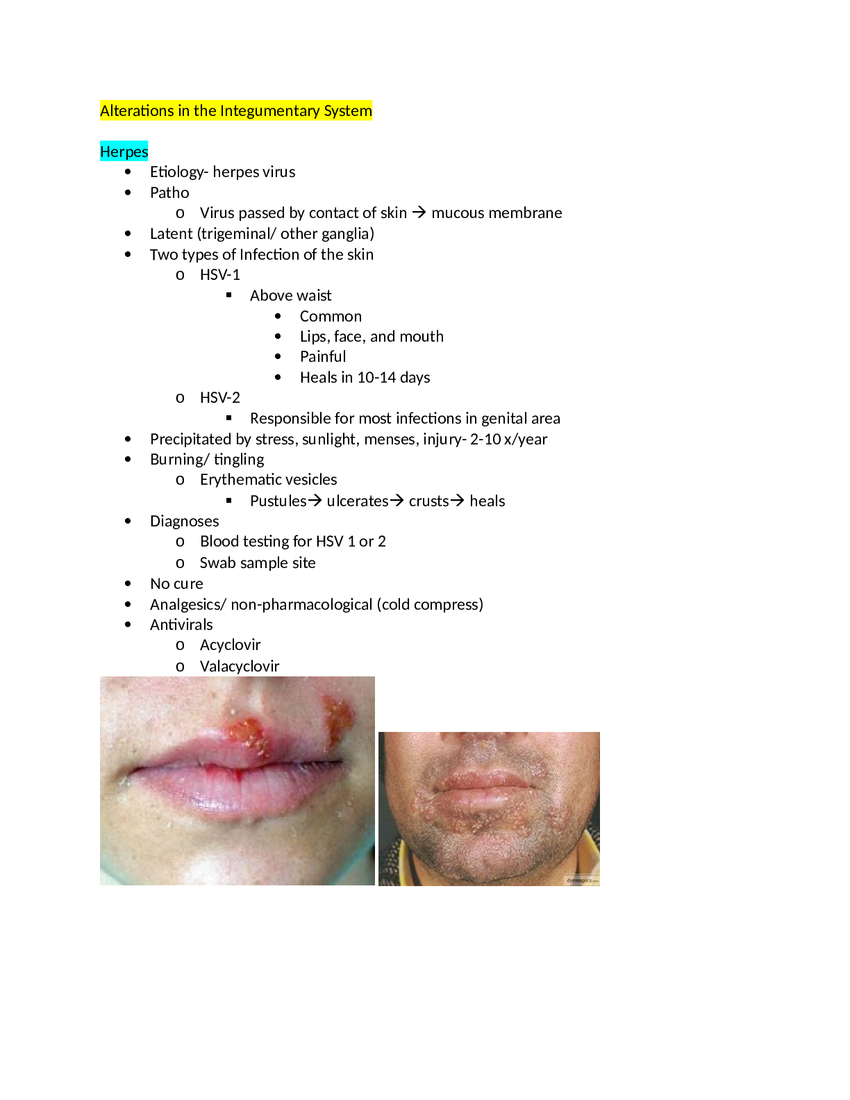 Alterations in the Integumentary System