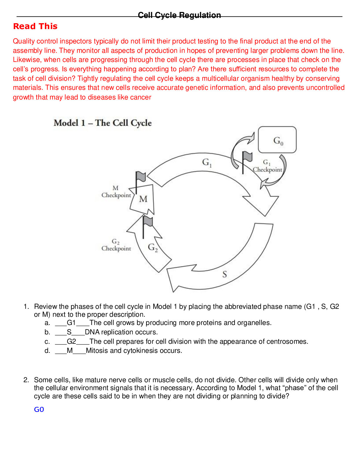 Cell Cycle Regulation
