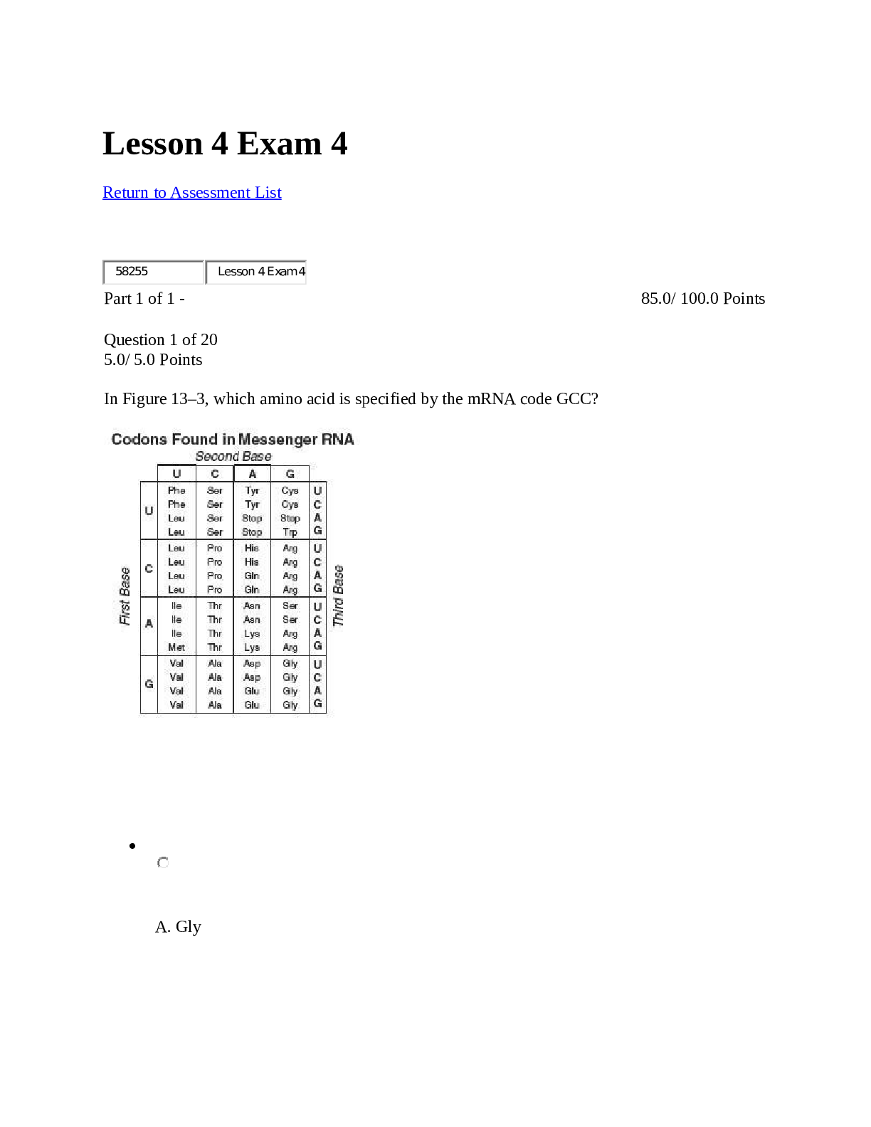 Lesson 4 Exam 4