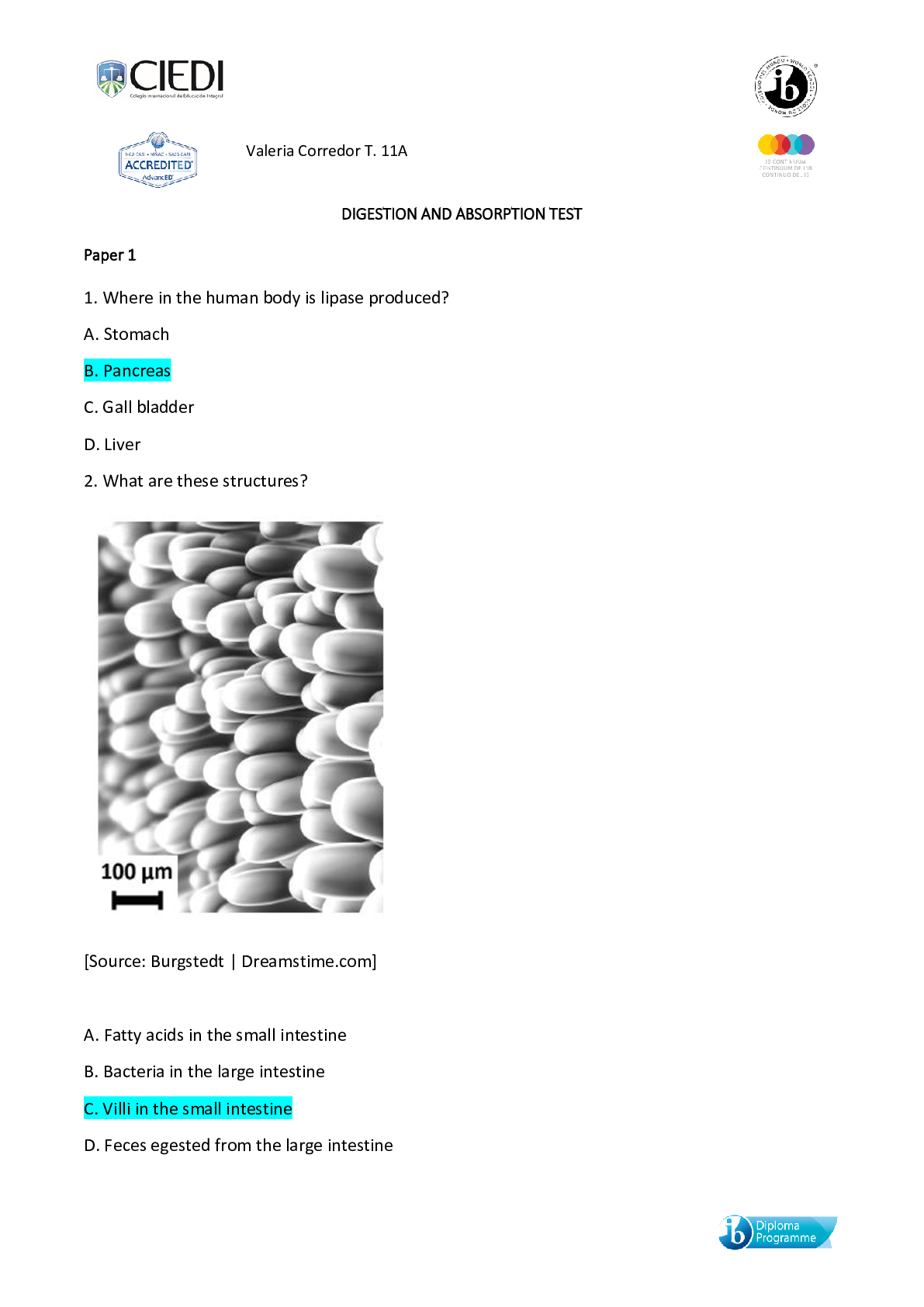 DIGESTION AND ABSORPTION TEST