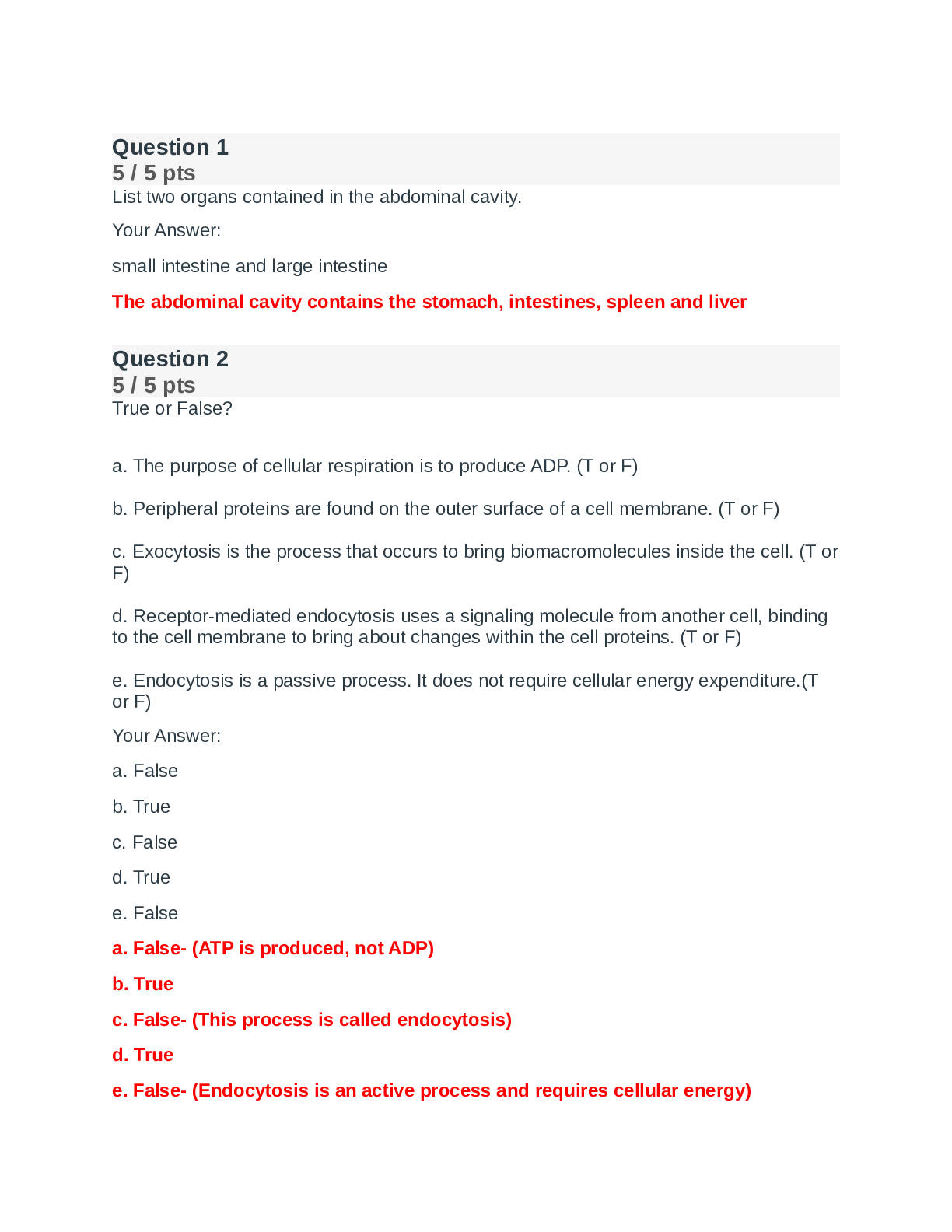 FINAL EXAM A P 1